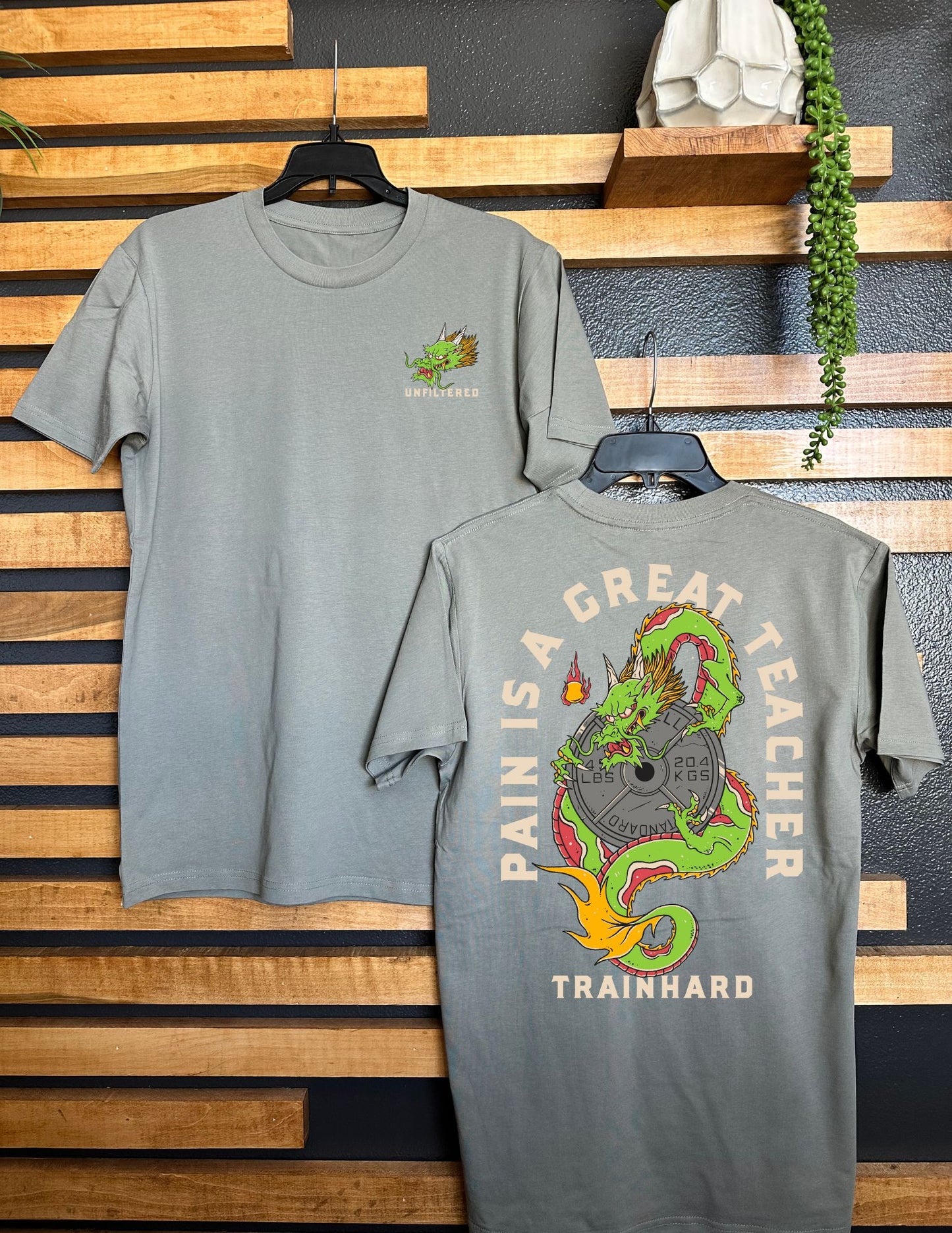PAIN IS A GREAT TEACHER UNISEX TEE