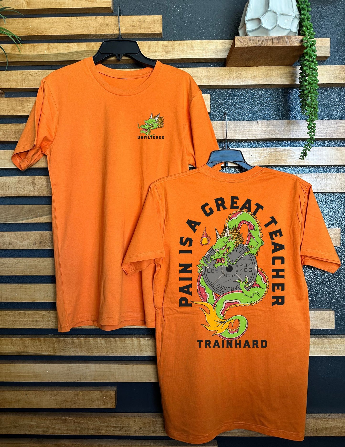 PAIN IS A GREAT TEACHER UNISEX TEE