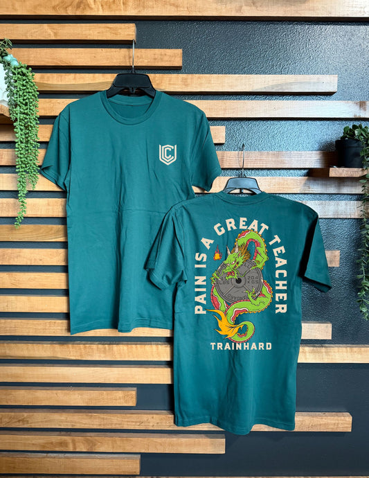 PAIN IS A GREAT TEACHER UNISEX TEE