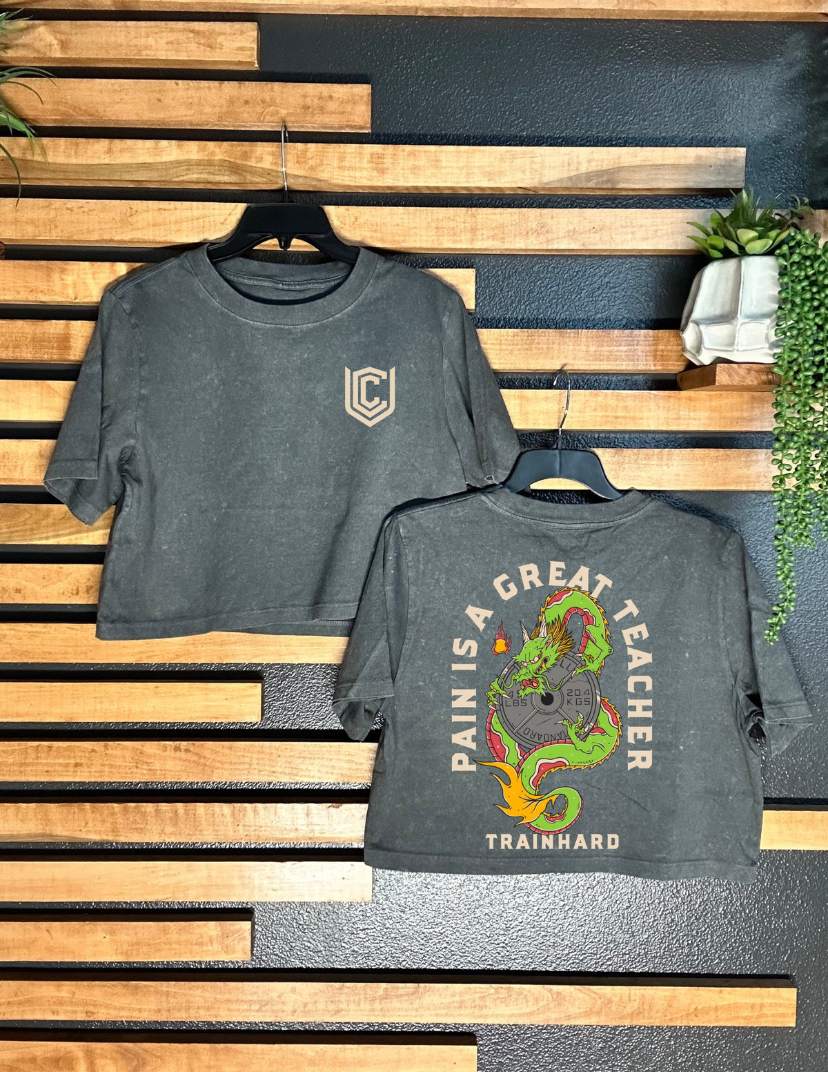 PAIN IS A GREAT TEACHER CROPPED TEE