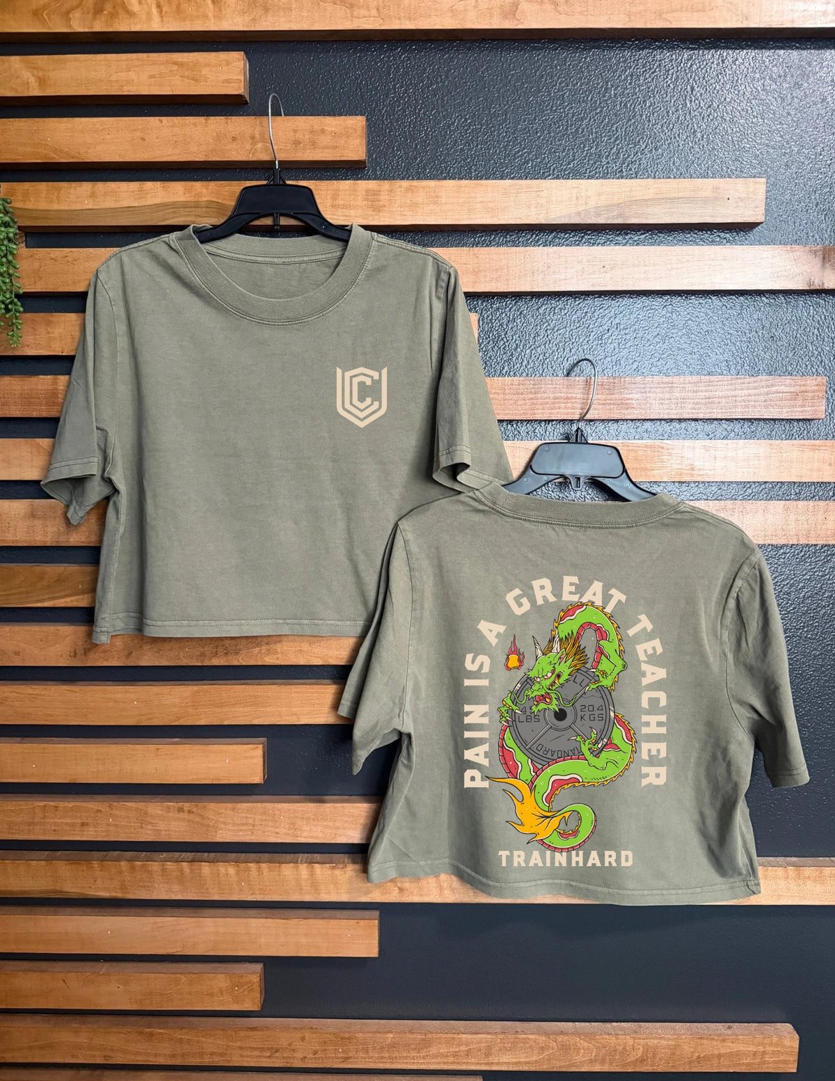 PAIN IS A GREAT TEACHER CROPPED TEE