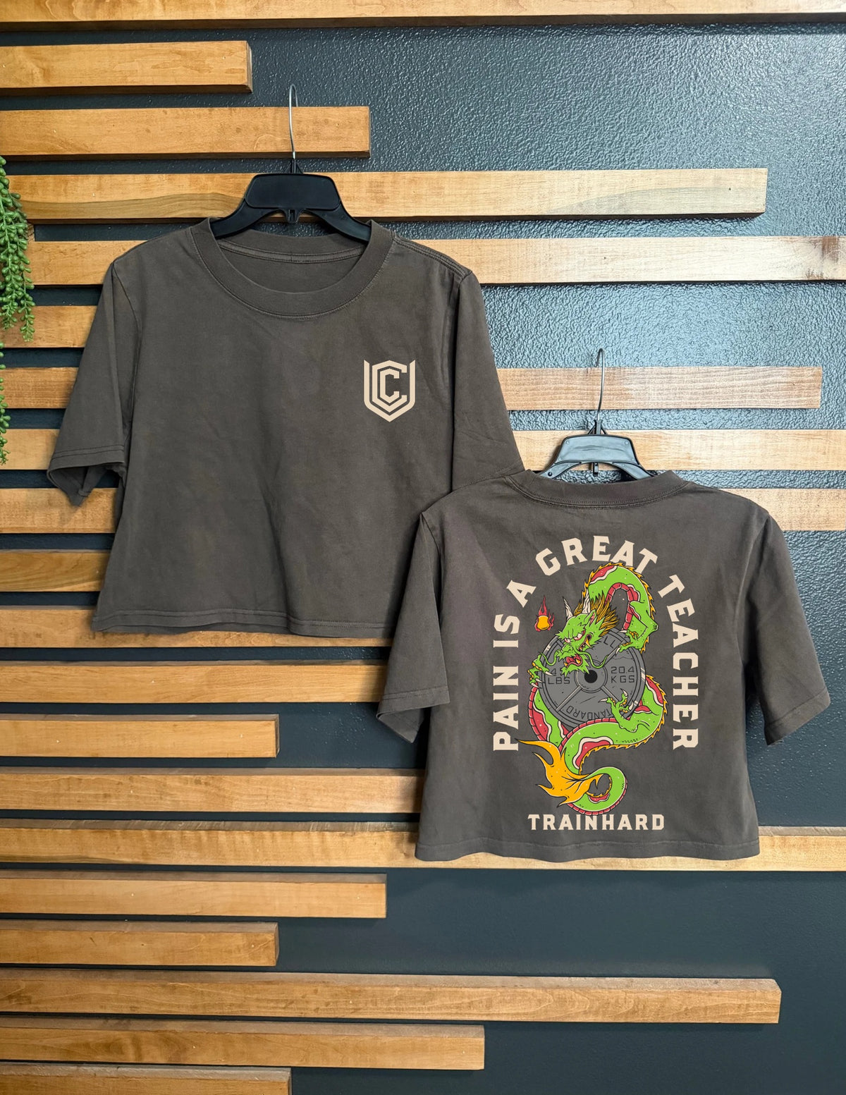 PAIN IS A GREAT TEACHER CROPPED TEE