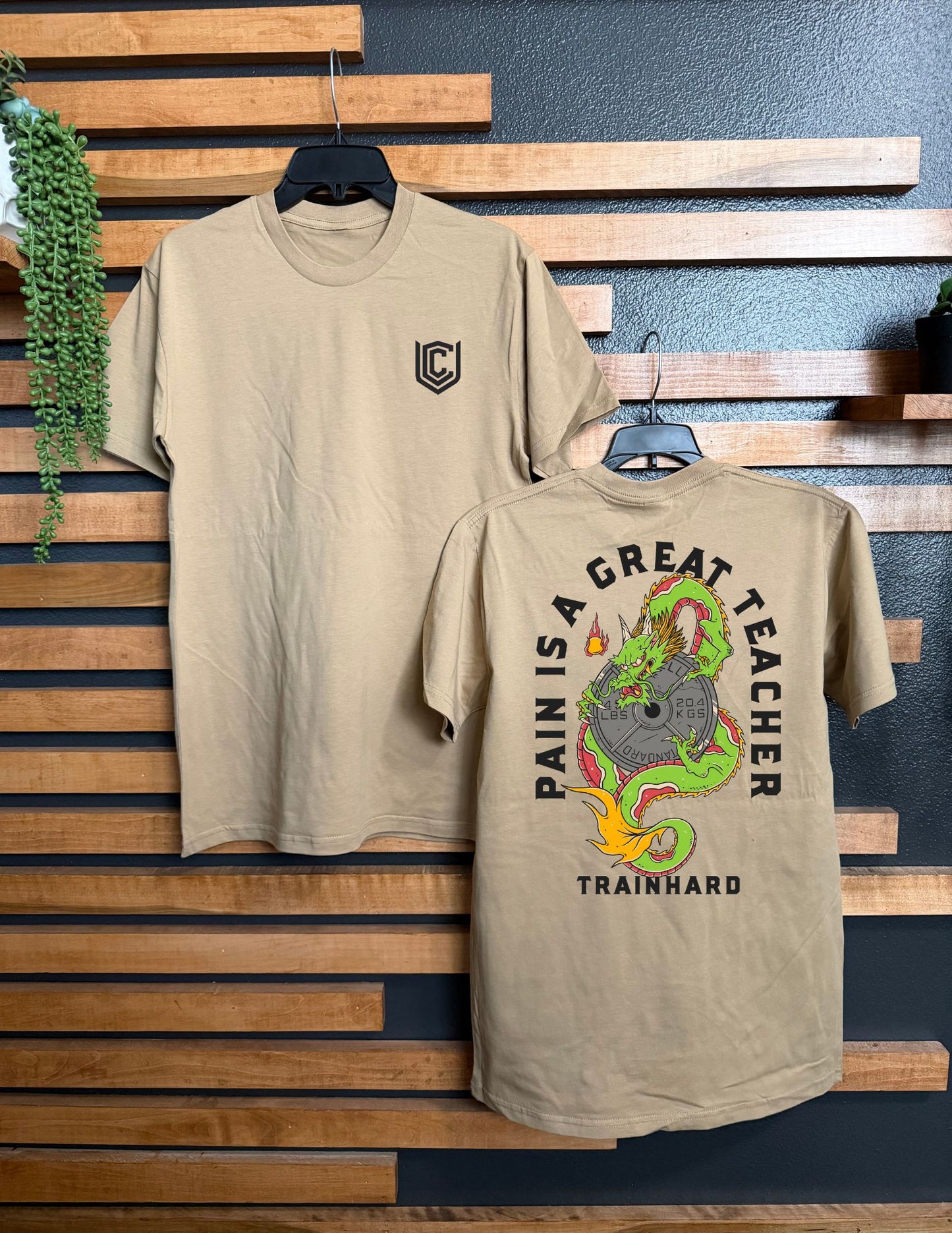 PAIN IS A GREAT TEACHER UNISEX TEE