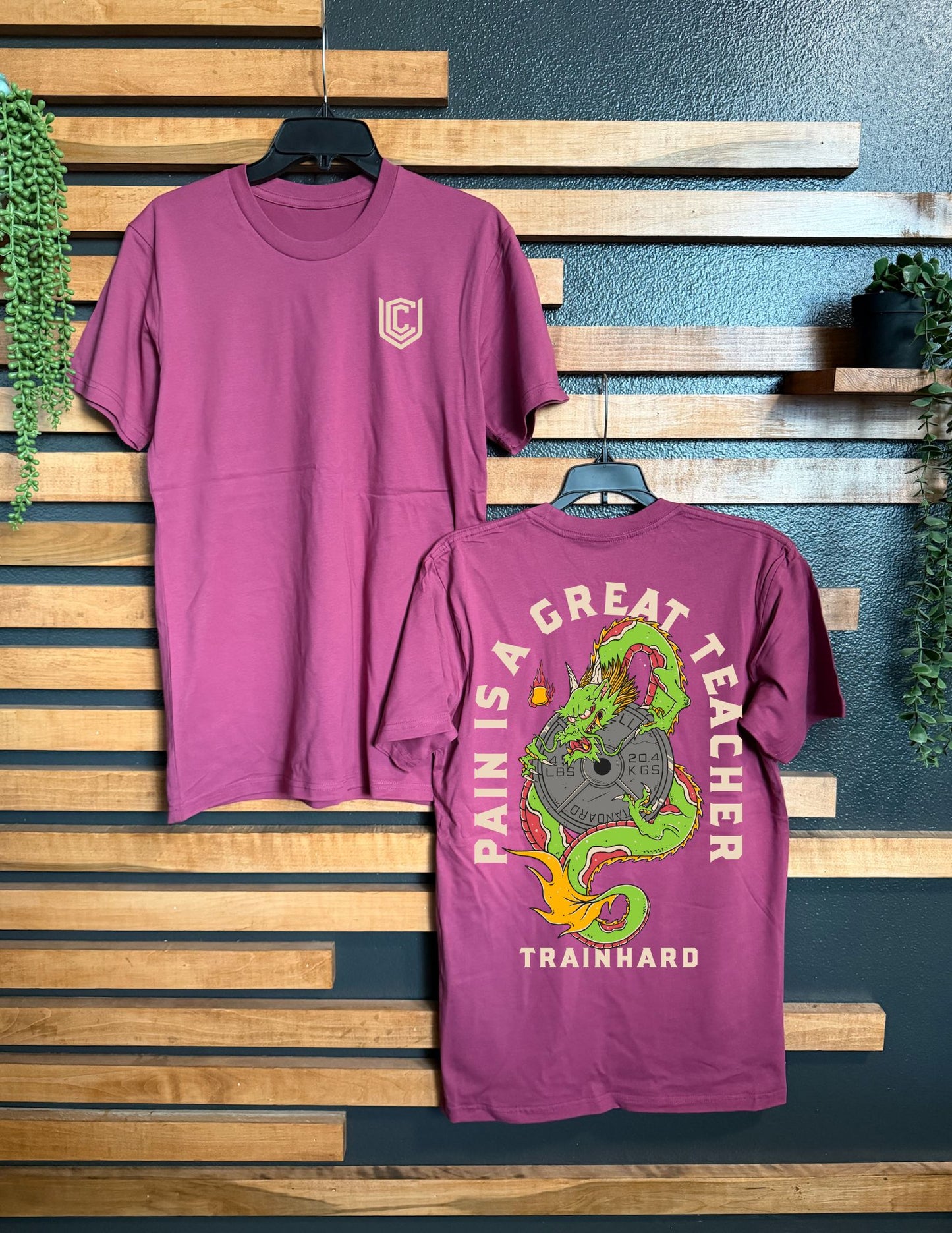 PAIN IS A GREAT TEACHER UNISEX TEE