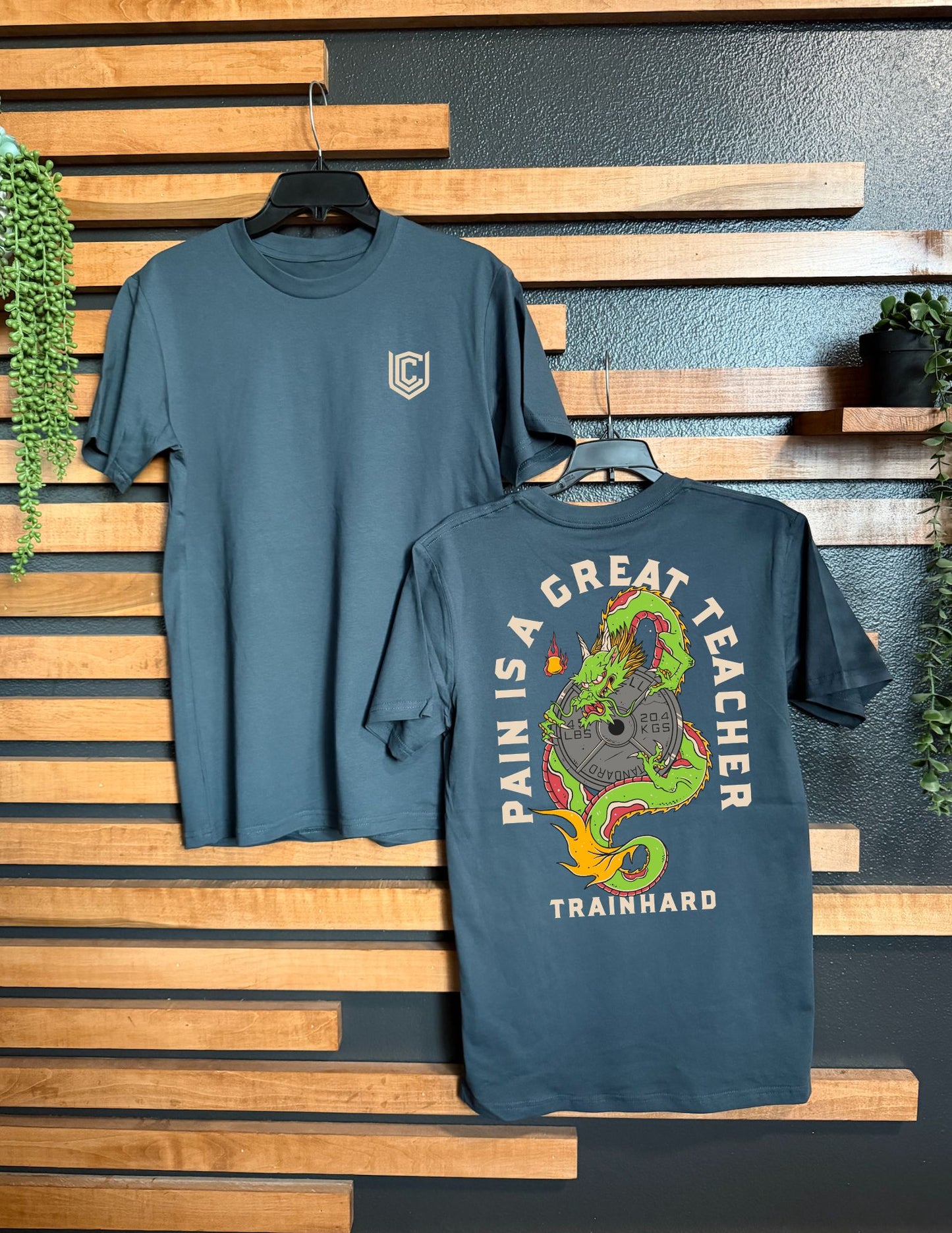 PAIN IS A GREAT TEACHER UNISEX TEE