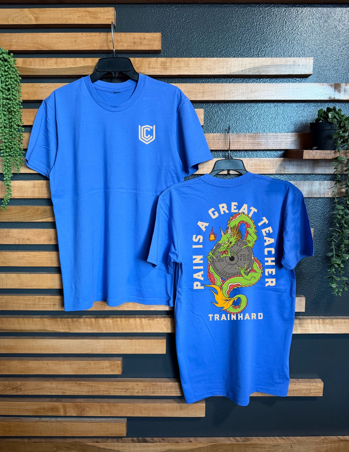 PAIN IS A GREAT TEACHER UNISEX TEE