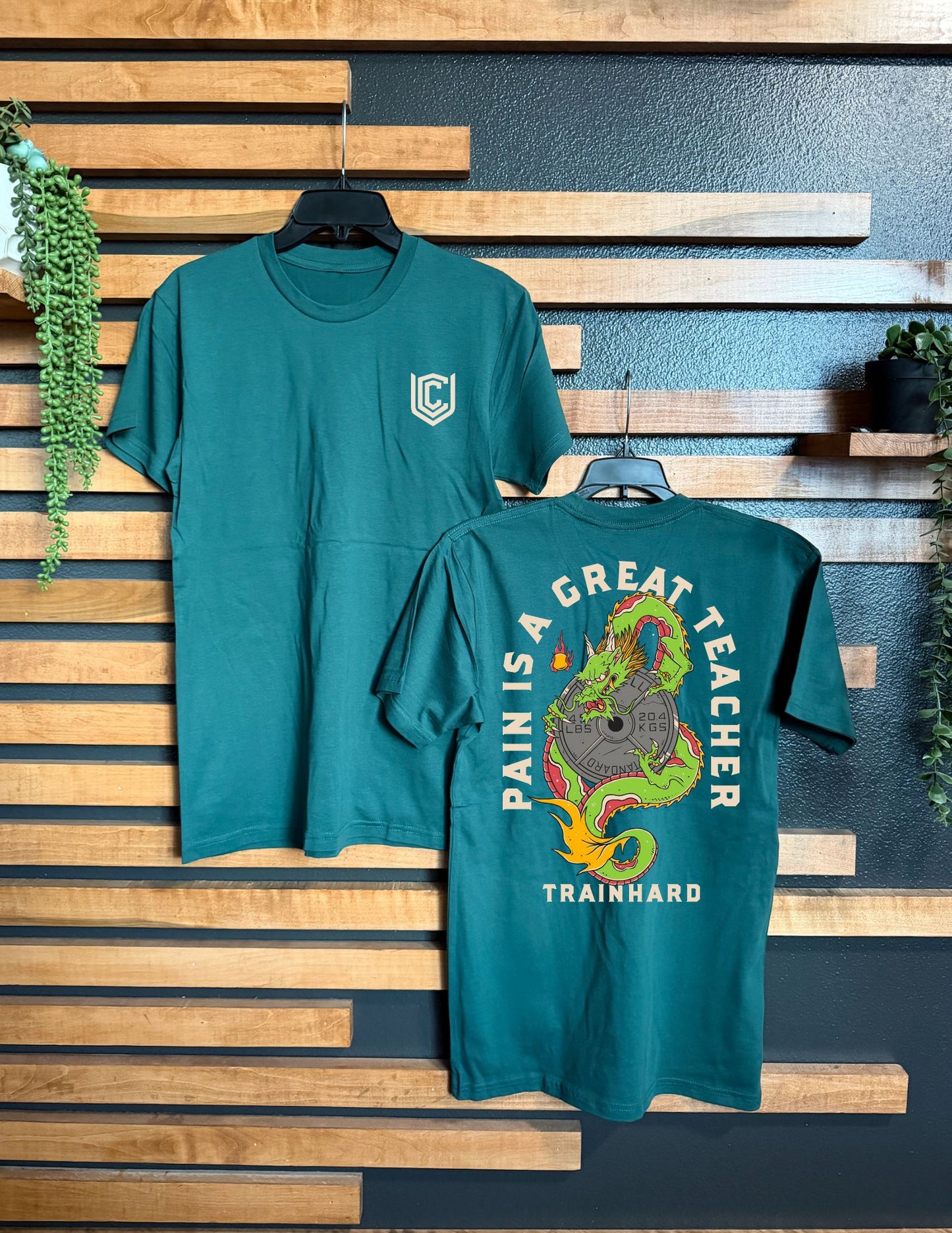 PAIN IS A GREAT TEACHER UNISEX TEE