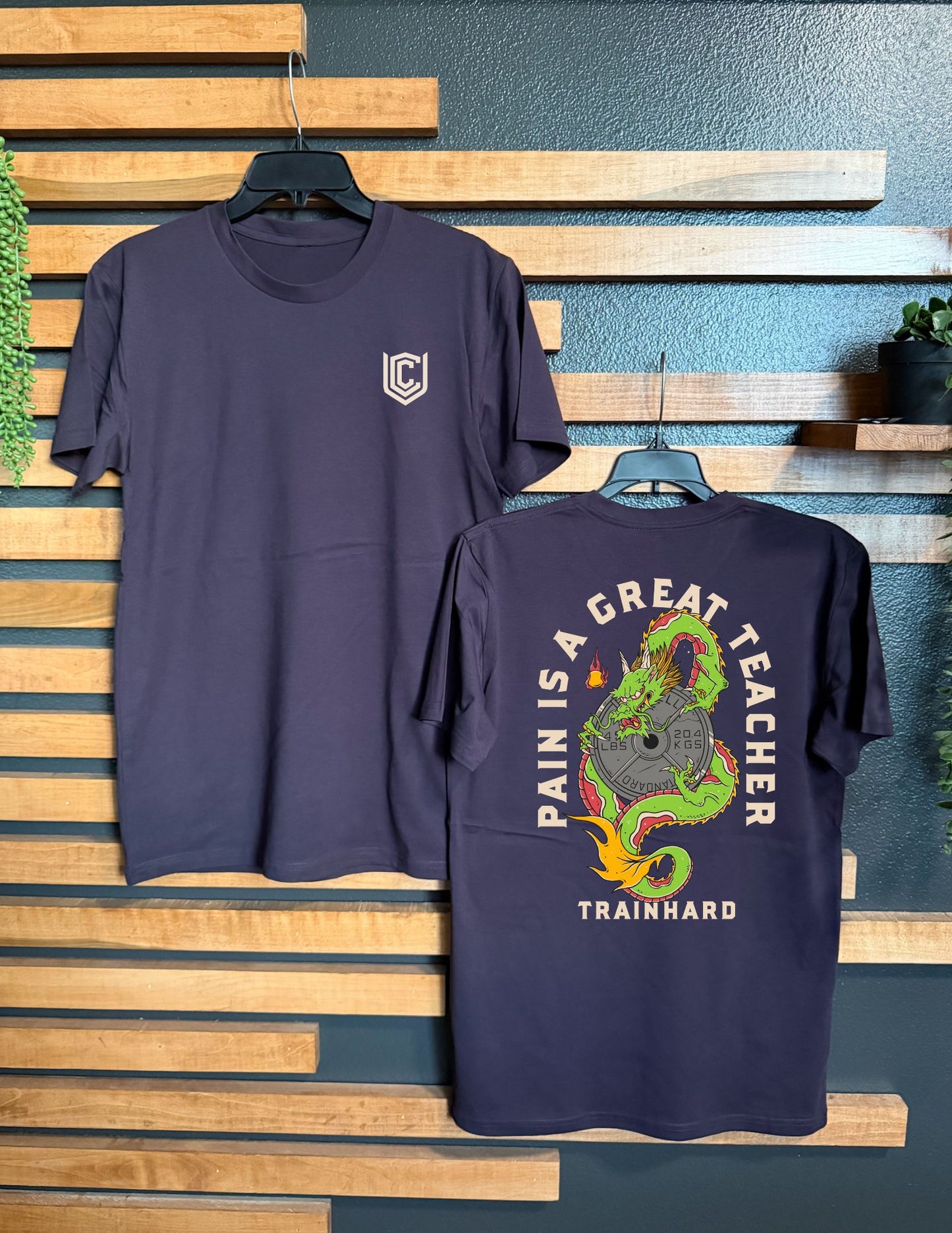 PAIN IS A GREAT TEACHER UNISEX TEE