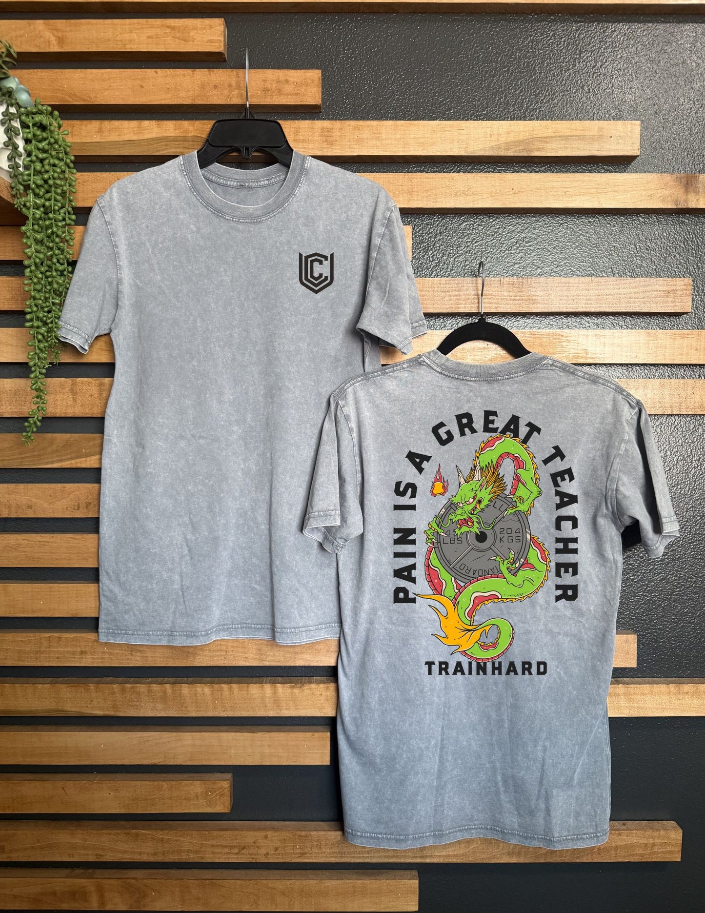 PAIN IS A GREAT TEACHER UNISEX TEE
