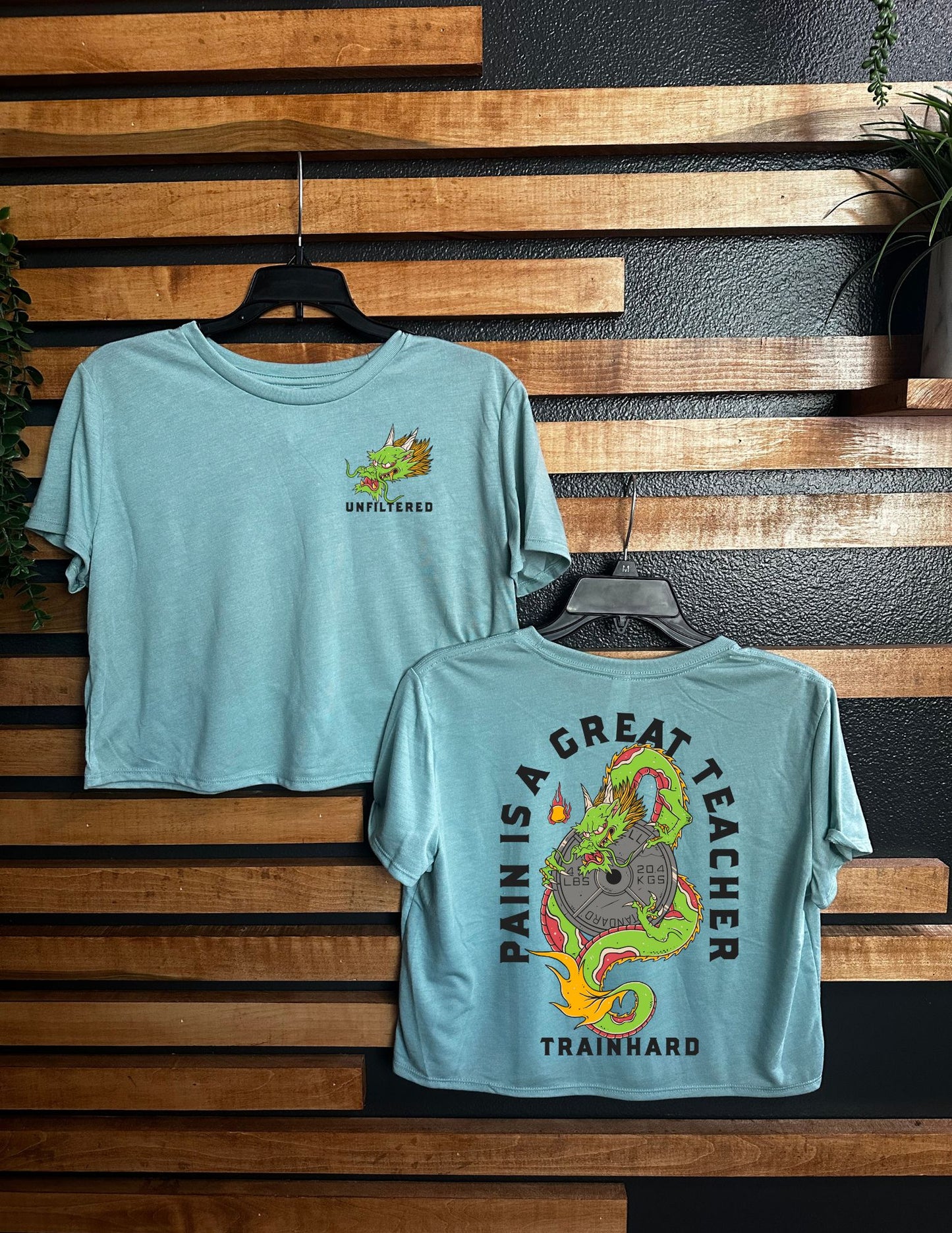 PAIN IS A GREAT TEACHER CROP TEE